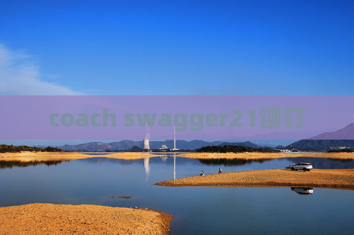 coach swagger21铆钉